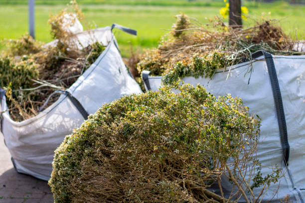 Best Yard Waste Removal  in Romulus, MI